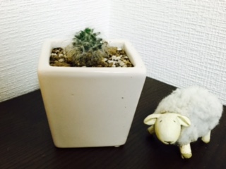20160912-Hituji.jpg 20160912-Hituji.jpg