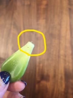 null null