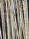 20190509-noda05097.jpg 20190509-noda05097.jpg
