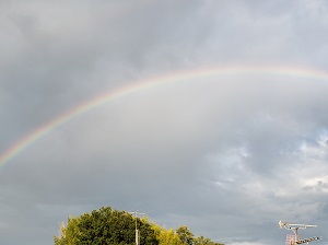 20190613-noda0613.jpg 20190613-noda0613.jpg