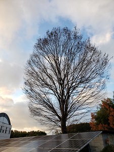 20191212-noda1212.jpg 20191212-noda1212.jpg
