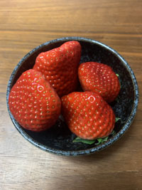 20210121-strawberry2.jpg 20210121-strawberry2.jpg