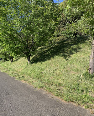 20210428-kusakari2.jpg 20210428-kusakari2.jpg