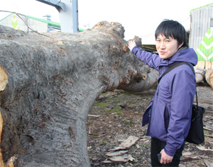20110204-SIRAYAMA110203.jpg 20110204-SIRAYAMA110203.jpg