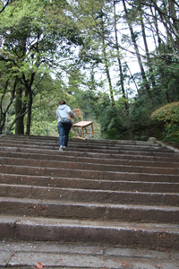 20110419-HORIBE.jpg 20110419-HORIBE.jpg