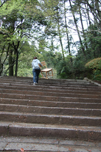 20110419-HORIBE.jpg