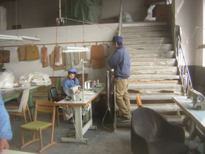 20110421-nomu.JPG 20110421-nomu.JPG