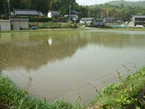 20110513-DSCF8914.jpg