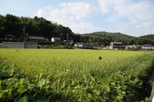 20110818-IMG_5948.jpg 20110818-IMG_5948.jpg