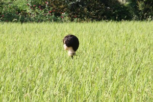 20110818-IMG_5951.jpg 20110818-IMG_5951.jpg