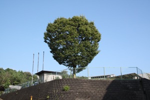 20110818-IMG_5955.jpg 20110818-IMG_5955.jpg
