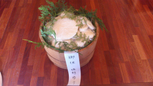 20120213-moti4.jpg 20120213-moti4.jpg