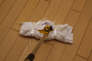 20120221-O11.jpg 20120221-O11.jpg