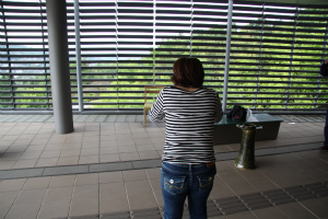 20120519-5018-4.jpg 20120519-5018-4.jpg