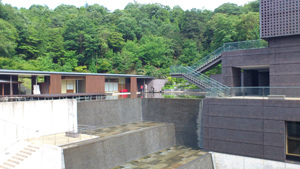 20120619-0618-06.jpg 20120619-0618-06.jpg