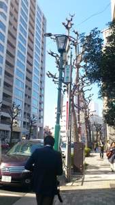 20130301-killer.jpg 20130301-killer.jpg