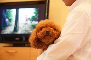 20130322-4.jpg 20130322-4.jpg