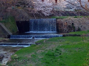 20140417-s-0401.jpg 20140417-s-0401.jpg