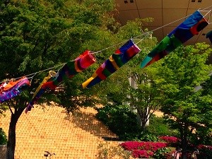20150430-s-0430.jpg 20150430-s-0430.jpg