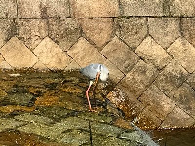 20181025-s-IMG_3549.jpg 20181025-s-IMG_3549.jpg