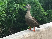 20191008-s-IMG_6238.jpg 20191008-s-IMG_6238.jpg
