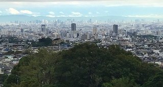 20191105-s-IMG_6557.jpg 20191105-s-IMG_6557.jpg