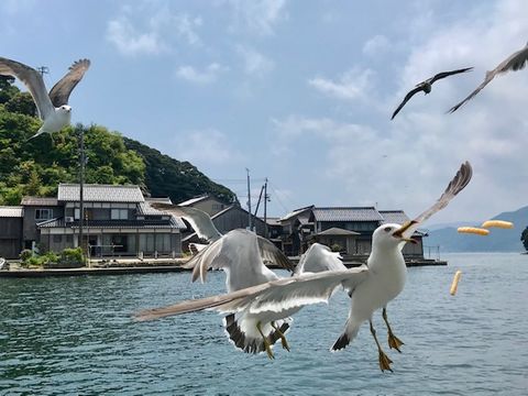 20190624-IMG_4196.jpg 20190624-IMG_4196.jpg