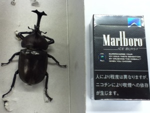 20120720-2012.7.20.jpg 20120720-2012.7.20.jpg