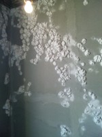 20120904-SH3J031.jpg 20120904-SH3J031.jpg