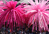 20180413-mikoshi.png 20180413-mikoshi.png