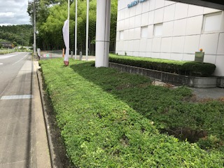 20190616-IMG_0431.jpg 20190616-IMG_0431.jpg
