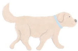 20190619-DOG.jpg 20190619-DOG.jpg