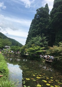 20180629-IMG_5040.jpg 20180629-IMG_5040.jpg
