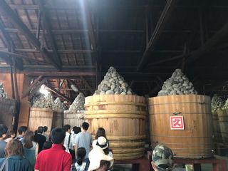 20191006-IMG_5152.JPG 20191006-IMG_5152.JPG